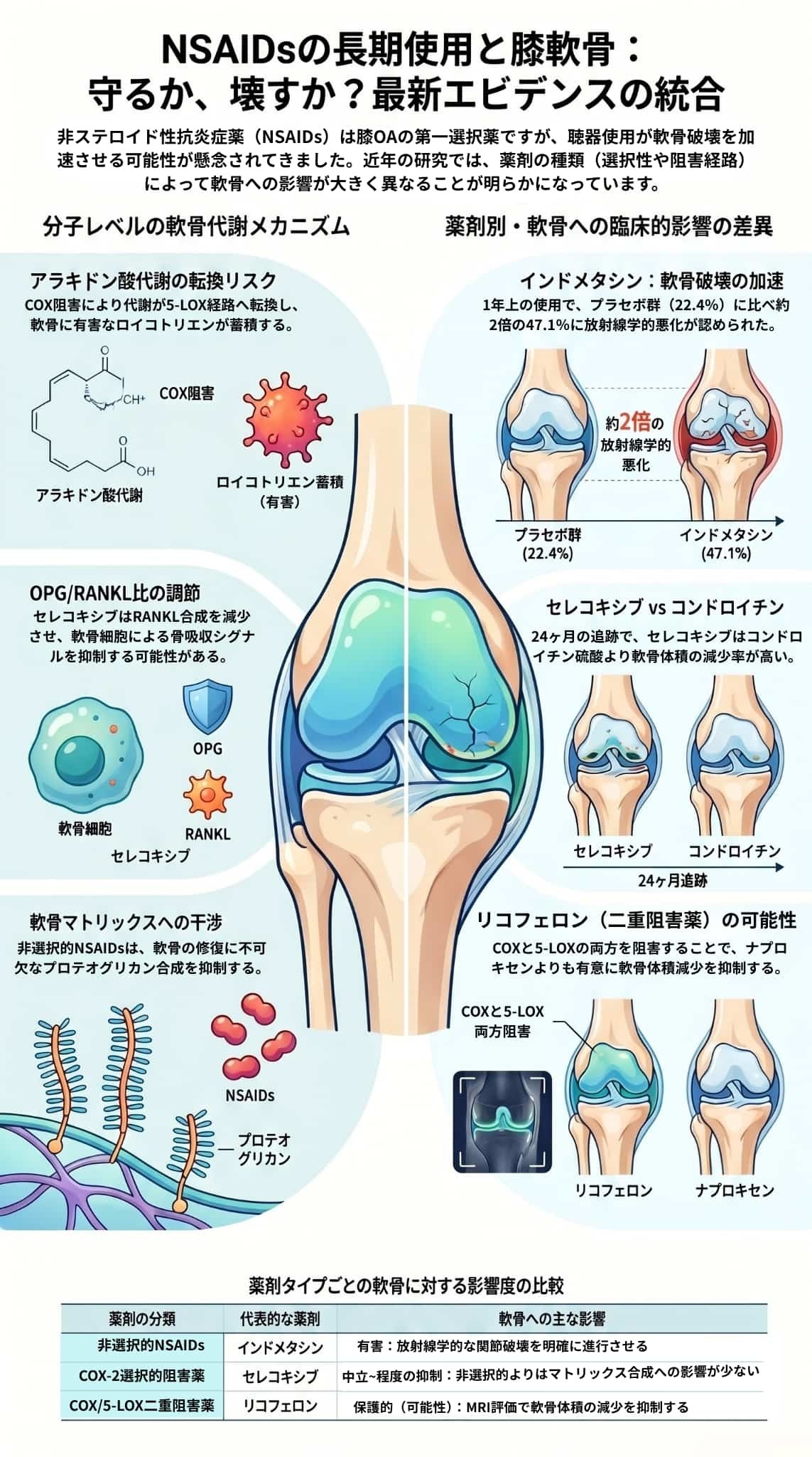 変形性膝関節症：非ステロイド性抗炎症薬（NSAIDs）は関節軟骨を分解するのか？