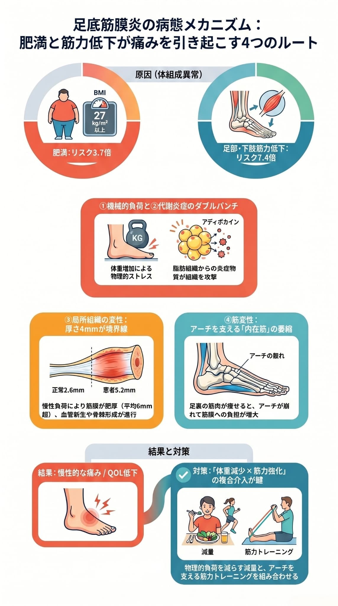 足底筋膜炎の病態メカニズム