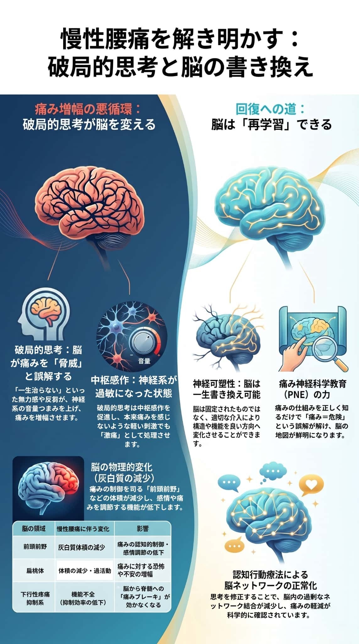 慢性腰痛を解き明かす：破局的思考と脳の書き換え
