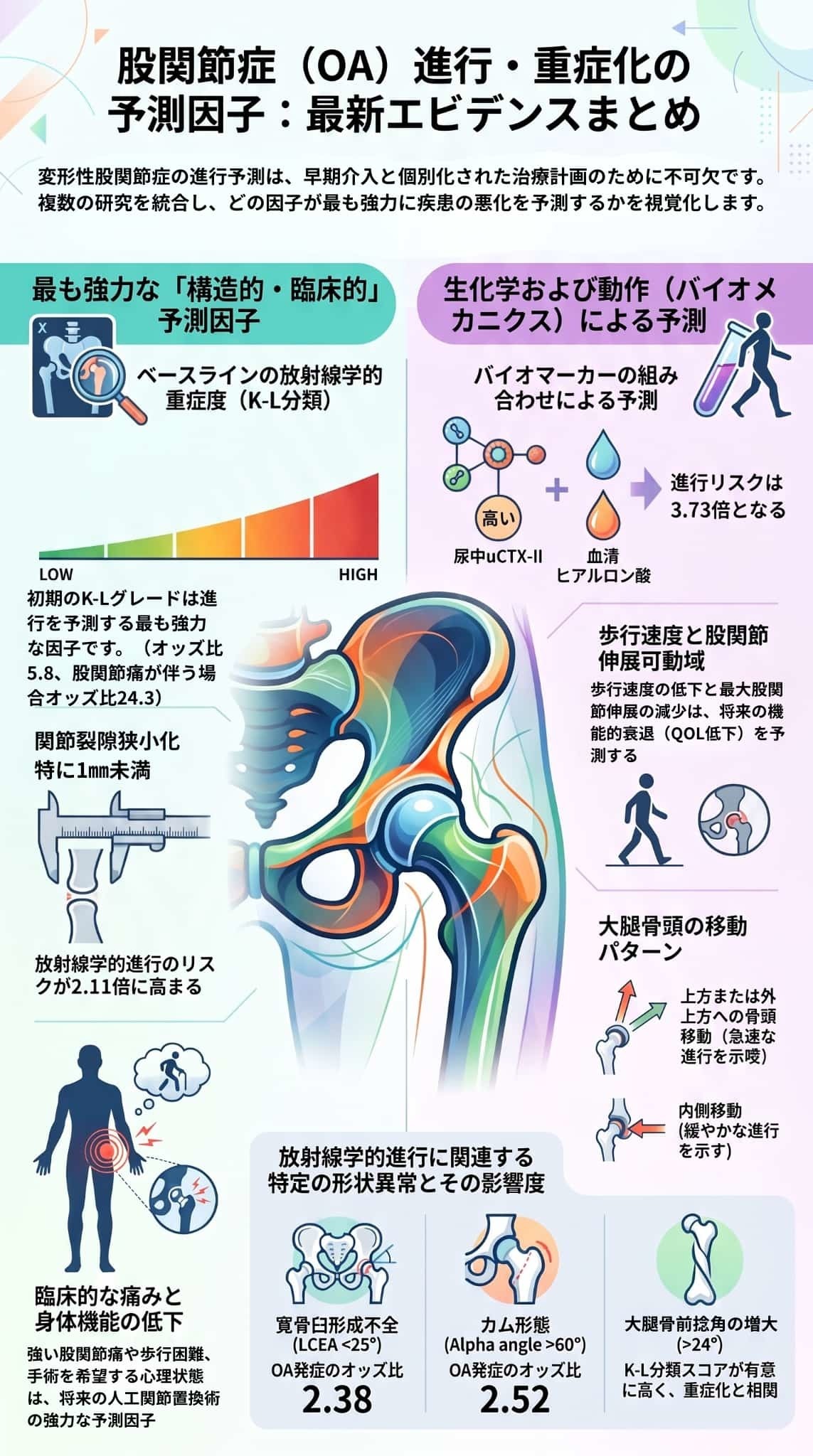 変形性股関節症の進行・重症化予測
