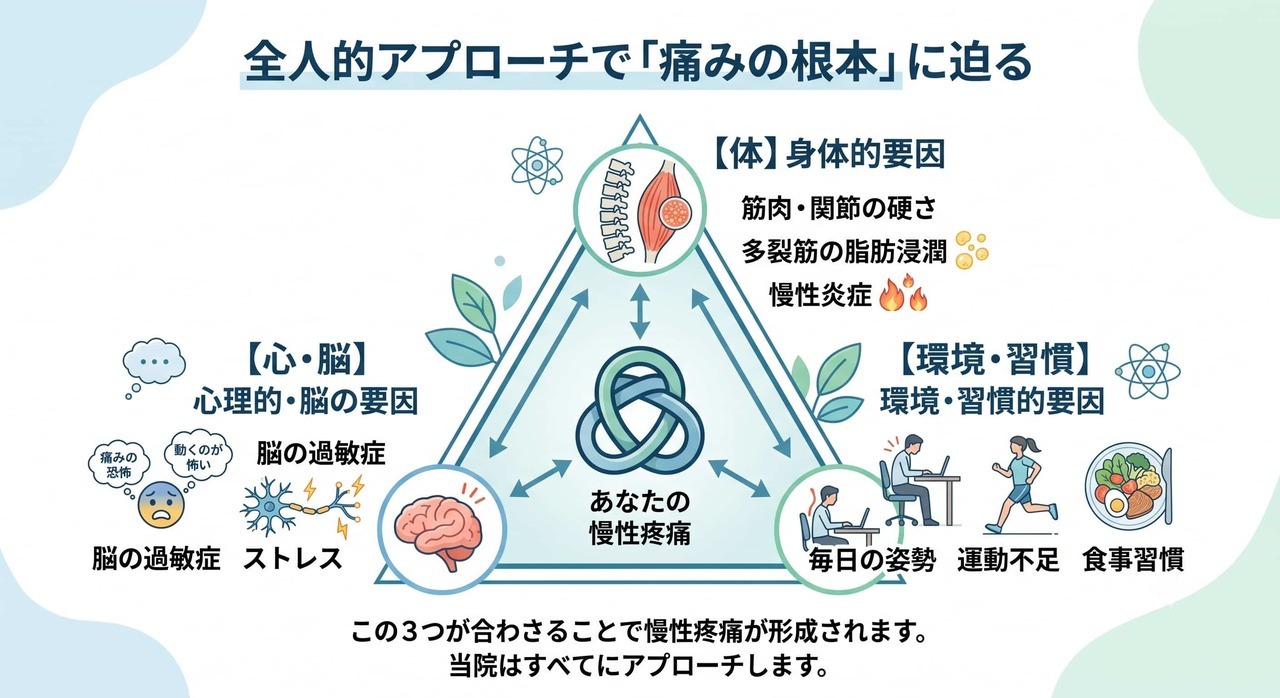 全人的アプローチで「痛みの根本｝に迫る
