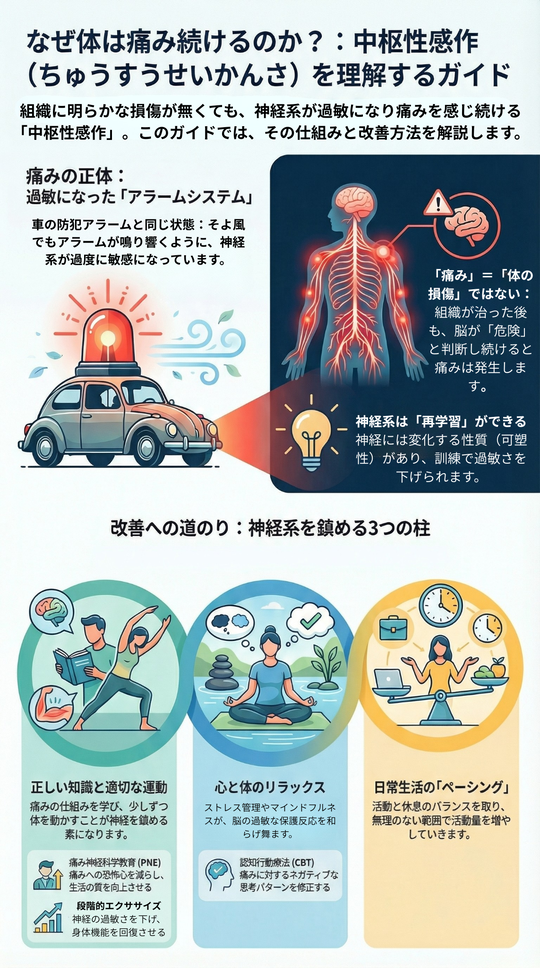 なぜ体は痛みを続けるのか？：中枢性感作（ちゅうすうせいかんさ）を理解するガイド