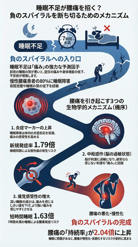 睡眠不足が腰痛を招く？負のスパイラル断ち切るためのメカニズム
